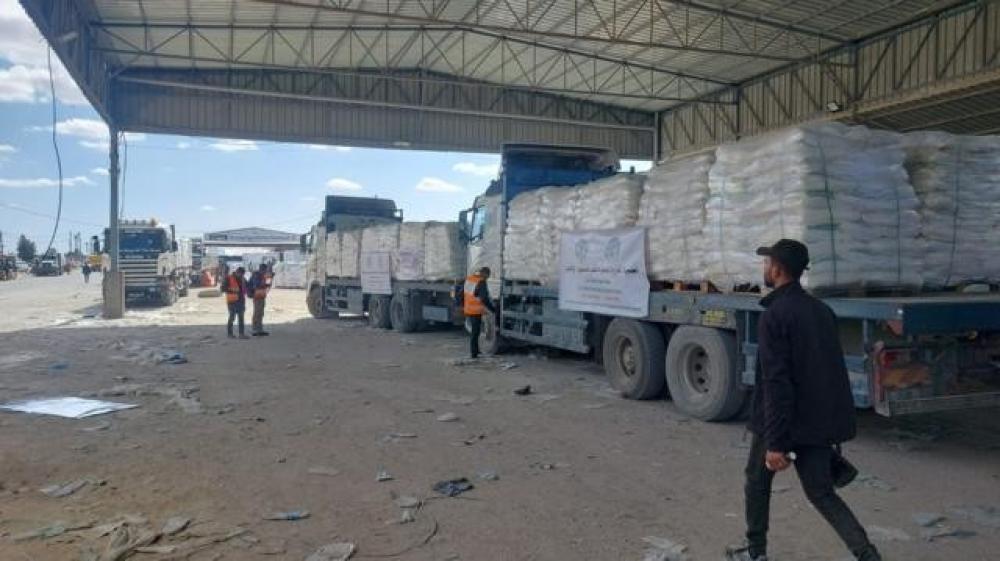 WFP: We have delivered less than Gaza's needs for one day since May 19