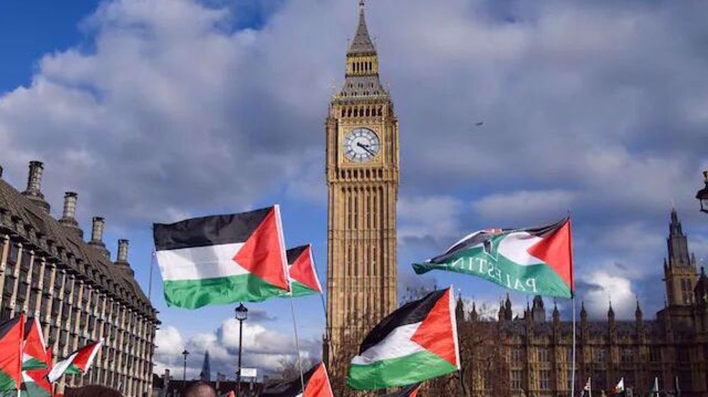 Over 200 British MPs urge government to recognize Palestine statehood