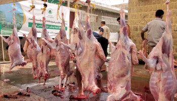 تدشين توزيع أضاحي العيد على أسر الشهداء الأشد فقراً بحجة