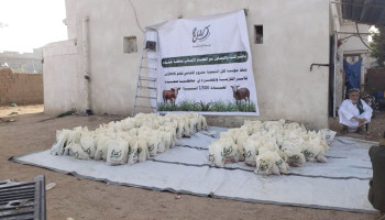 توزيع لحوم الأضاحي للأسر المحتاجة في سحار والصفراء بصعدة