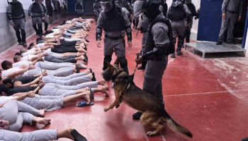 هيئة الأسرى الفلسطينية تحذر من خطورة استمرار منع المحامين من زيارة المعتقلين