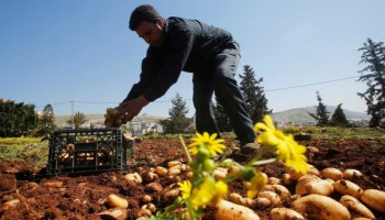 563 مليون دولار عجز الميزان التجاري الفلسطيني خلال أبريل 2025