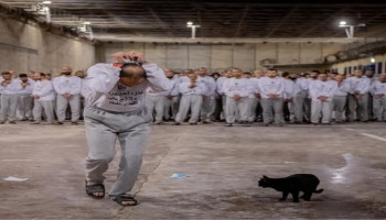 مؤسسات الأسرى الفلسطينية تدعو شعوب العالم الحر لإنهاء الإبادة الصهيونية