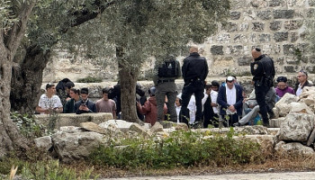 مستوطنون صهاينة يؤدون طقوسًا تلمودية في القدس المحتلة ويهاجمون رعاة الماشية جنوب الخليل