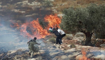 اعتداءات المستوطنين الصهاينة في بيت لحم والخليل ورام الله