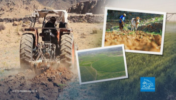 الزراعة اليمنية: قراءة في التحولات التاريخية وتحديات الحاضر (1-4)