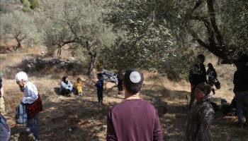مستوطنون صهاينة يهاجمون مزارعين في قرية زيتا جماعين بنابلس