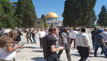 مستوطنون صهاينة يقتحمون باحات المسجد الأقصى