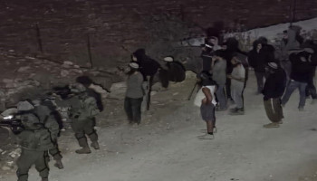 مستوطنون صهاينة يقتلعون أشجار زيتون في منطقة "خلايل اللوز" ببيت لحم