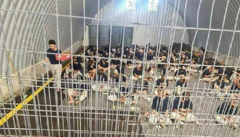 مؤسسة حقوقية: تفشي الجرب بسجون العدو الصهيوني يهدد الأسرى بكارثة صحية