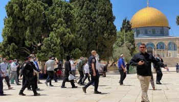 الهدمي: العدو يسابق الزمن لتهويد الأقصى ويستهدف باب الرحمة والمنطقة الشرقية