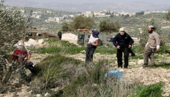 "مقاومة الجدار والاستيطان": 16 اعتداء على المزارعين وأراضيهم اليوم بالضفة الغربية