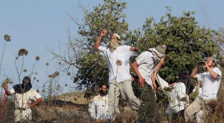 اعتداءات للمستوطنين الصهاينة في قرية المغير برام الله