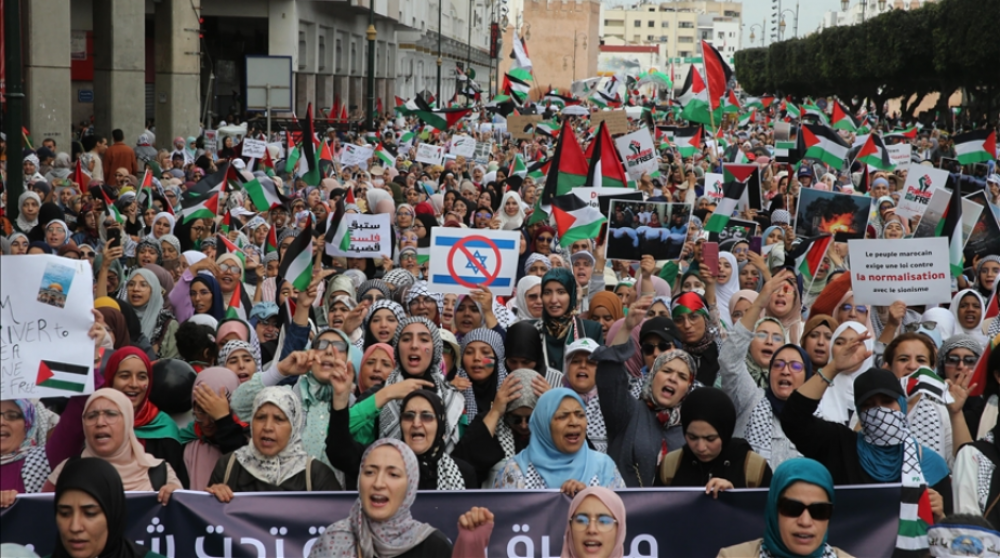 مدينة تمارة المغربية تشهد وقفة احتجاجية تنديدًا بحرب الإبادة الصهيونية على غزة