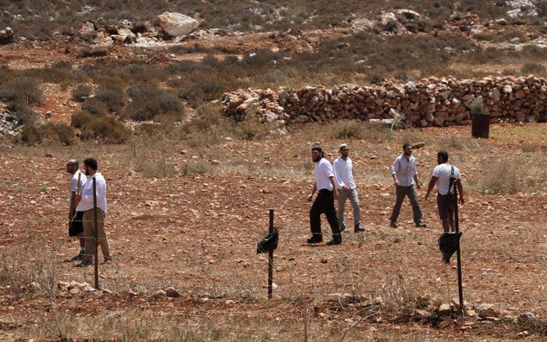 مستوطنون صهاينة يقتلعون عشرات أشتال الزيتون شرق يطا