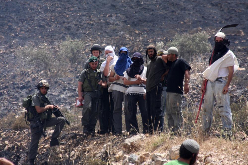 مستوطنون صهاينة يعتدون على مواطنة بمسافر يطا في الخليل