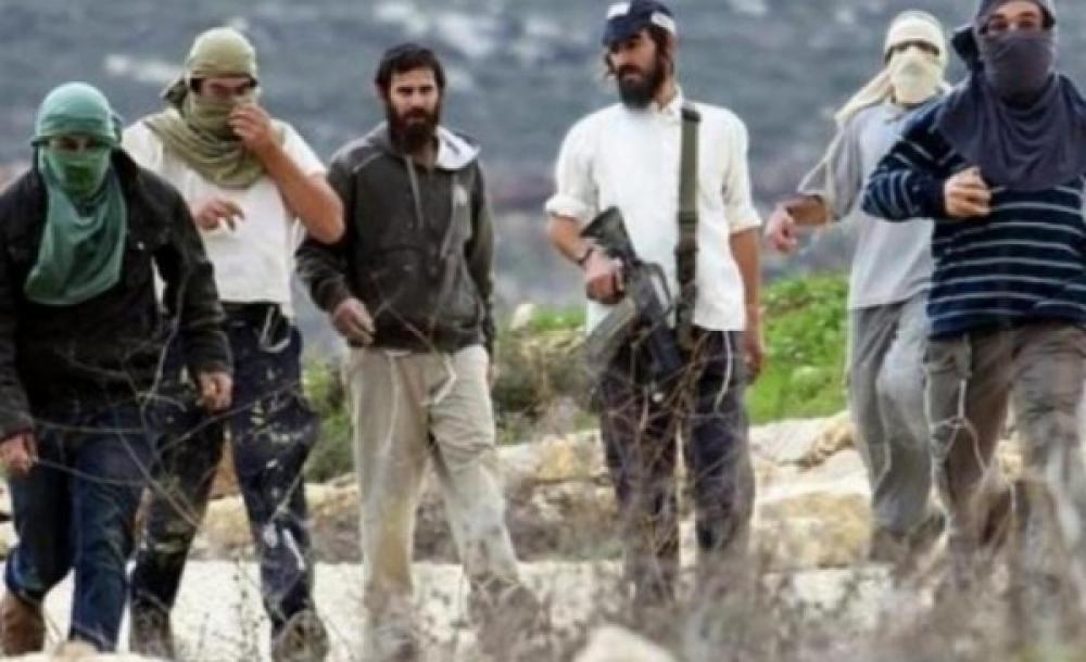 الصهاينة يعتدون على مواطنين فلسطينيين في الأغوار الشمالية