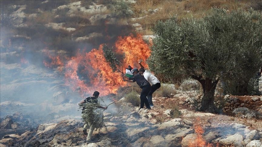 الصهاينة يضرمون النار في أراضي فلسطينيين جنوبي نابلس