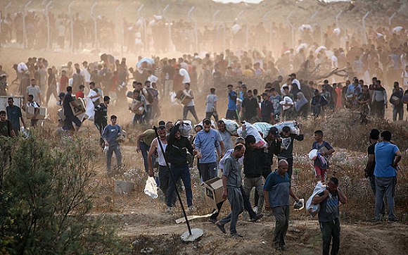 حزب "الخضر" الألماني يطالب بحظر تصدير الأسلحة لكيان العدو الصهيوني