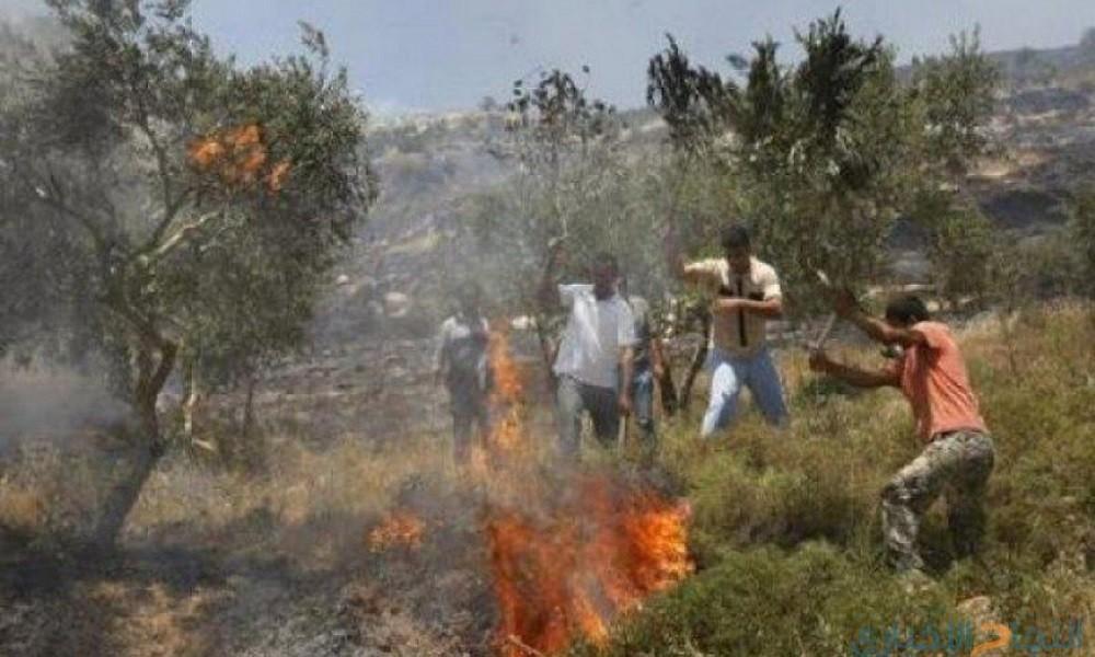مستوطنون صهاينة يحرقون عشرات الدونمات جنوبي نابلس