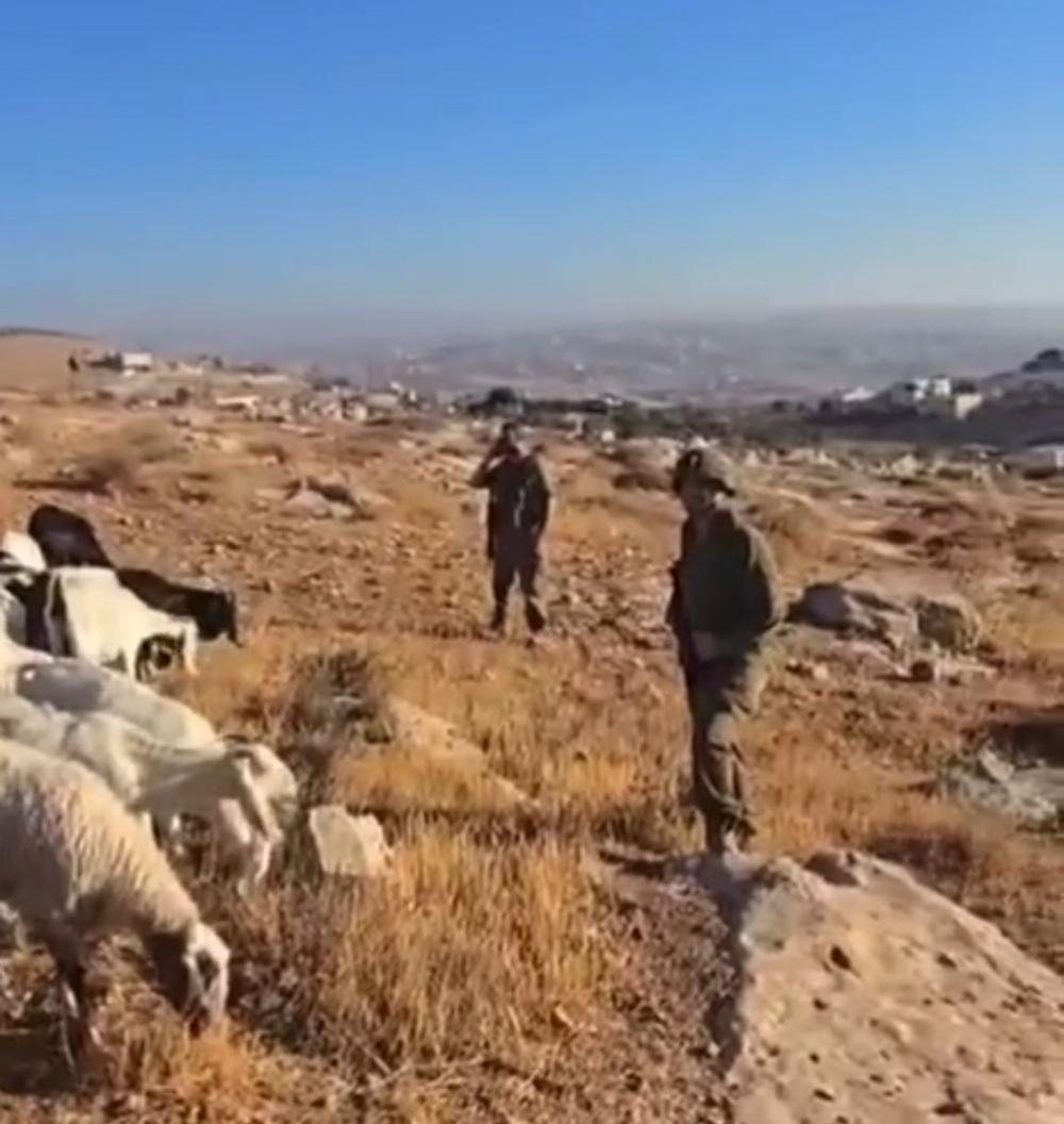 العدو الصهيوني يطرد الفلسطينيين من أراضيهم في منطقة الحمرة بمسافر يطا