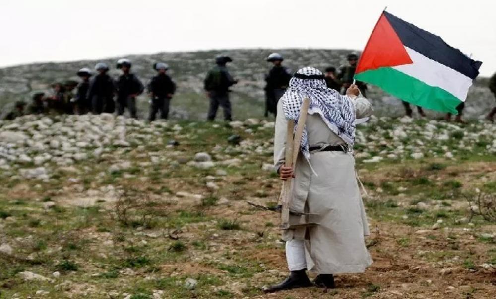 العدو الصهيوني يُخطر بوضع اليد على 7 دونمات شرقي قلقيلية