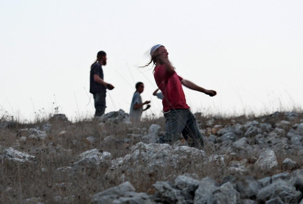 مستوطنون صهاينة يطلقون مواشيهم بين مساكن الفلسطينيين شمالي أريحا
