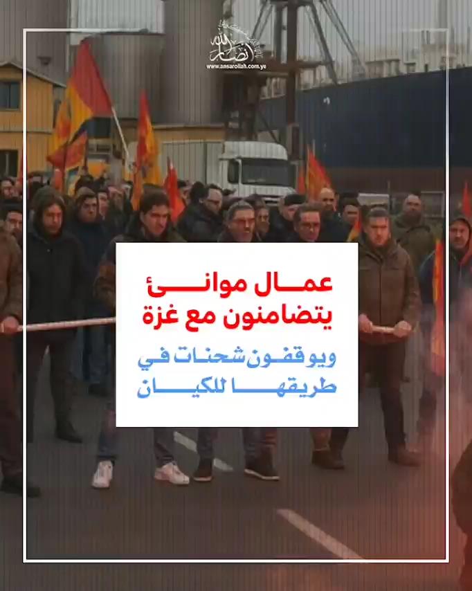 عمال موانئ يتضامنون مع غزة ويوقفون شحنات في طريقها إلى الكيان