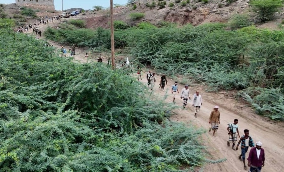 مسير ومناورة لخريجي دورات "طوفان الأقصى"، للمربعين الغربي والأوسط بالتعزية