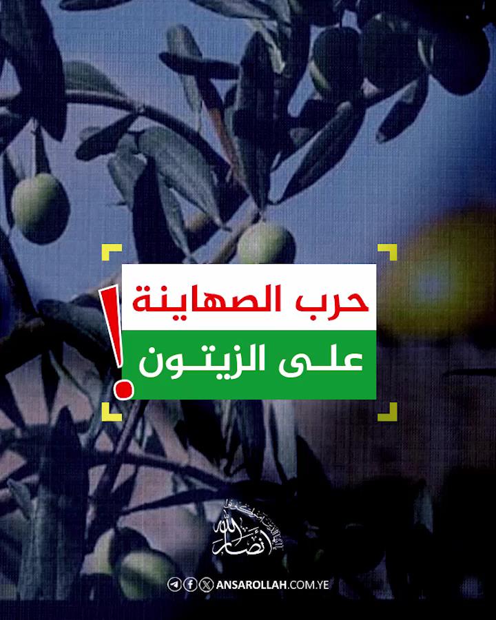 حرب الصهاينة على الزيتون