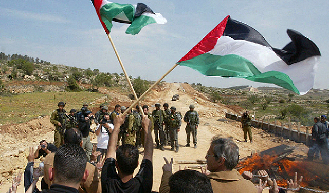 إصابات واعتداءات على المزارعين في هجمات للمستوطنين الصهاينة بالخليل