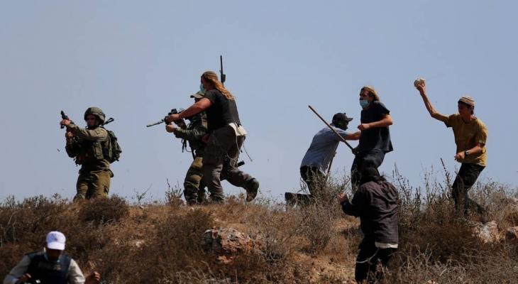 اعتداءات المستوطنين الصهاينة تتصاعد في بادية يطا وسط سلب مواشٍ والاعتداء على رعاة