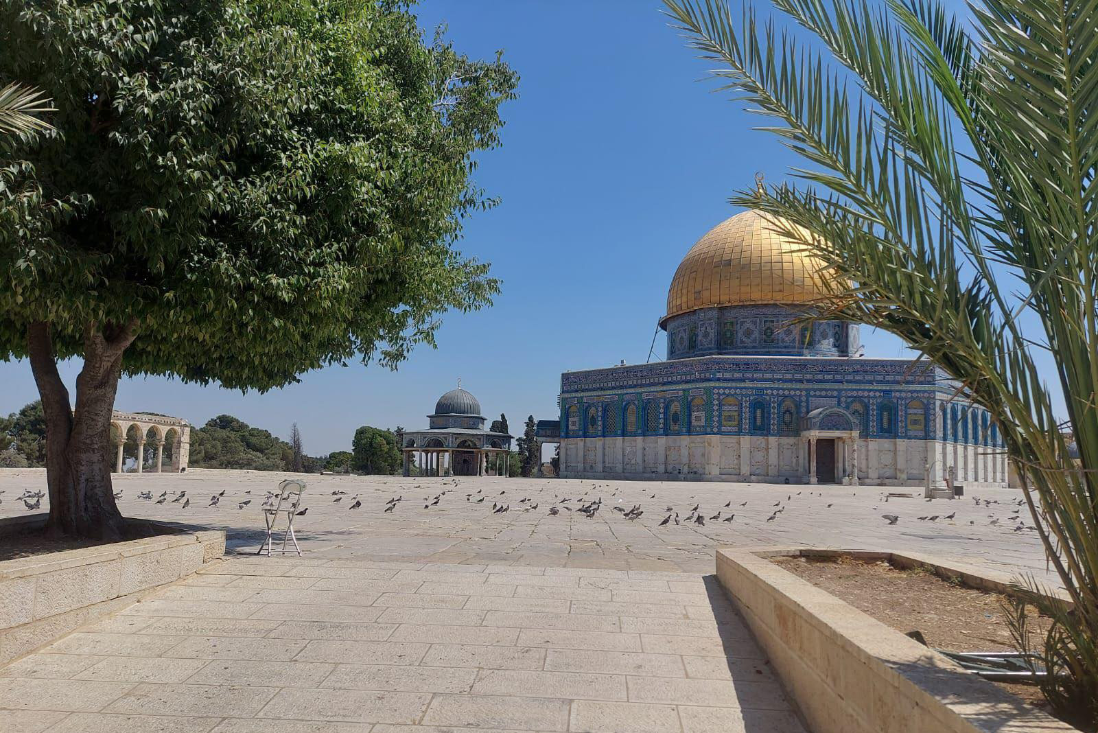 العدو يواصل إغلاق المسجد الأقصى لليوم الـ 24 على التوالي