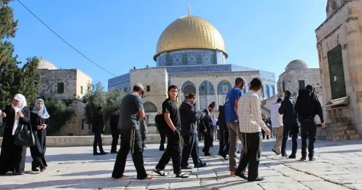 214 مستوطنًا صهيونيًّا يقتحمون الأقصى والعدو يصعد انتهاكاته للقدس المحتلة