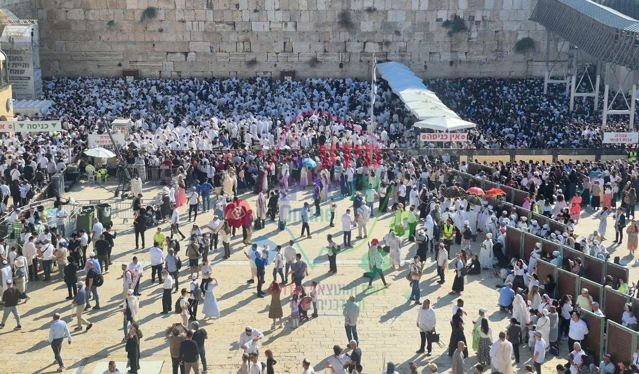 300 مستوطن يقتحمون باحات الأقصى ويؤدون طقوسًا تلمودية