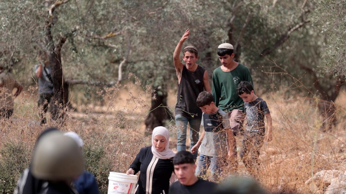 المفتي الفلسطيني يحرّم شراء زيت الزيتون المسروق من أراضي الفلسطينيين